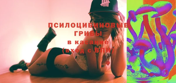 мяу мяу мука Покачи