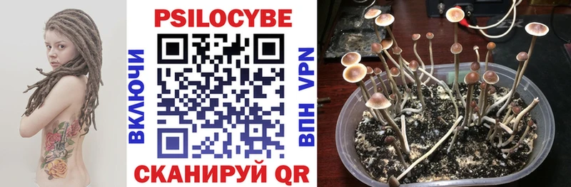 Галлюциногенные грибы мухоморы  Отрадное 