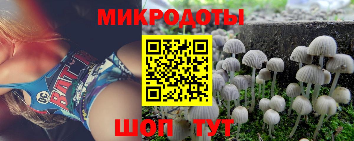 Псилоцибиновые грибы мухоморы Отрадное