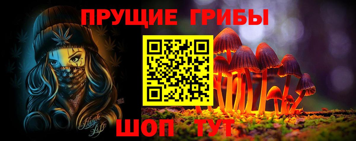 Отрадное  Псилоцибиновые грибы ЛСД  Вход с VPN  Псилоцибиновые грибы мухоморы 